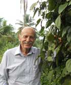 Pepper vines and lush vegetation in Kerala, India